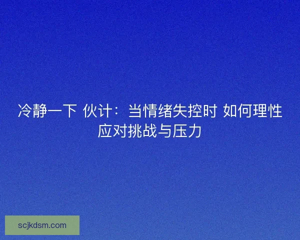 冷静一下 伙计：当情绪失控时 如何理性应对挑战与压力